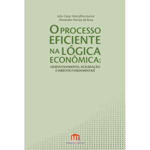 O Processo Eficiente na Lógica Econômica: Desenvolvimento, Aceleração e Direitos Fundamentais Capa comum 18 agosto 2015